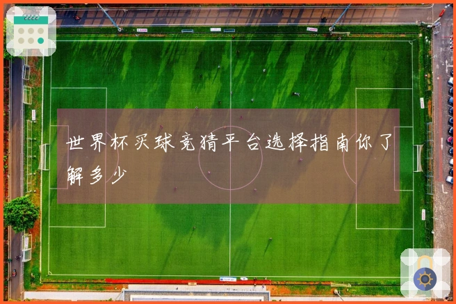 世界杯买球竞猜平台选择指南你了解多少