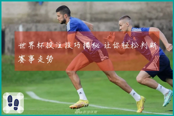 世界杯投注技巧揭秘 让你轻松判断赛事走势