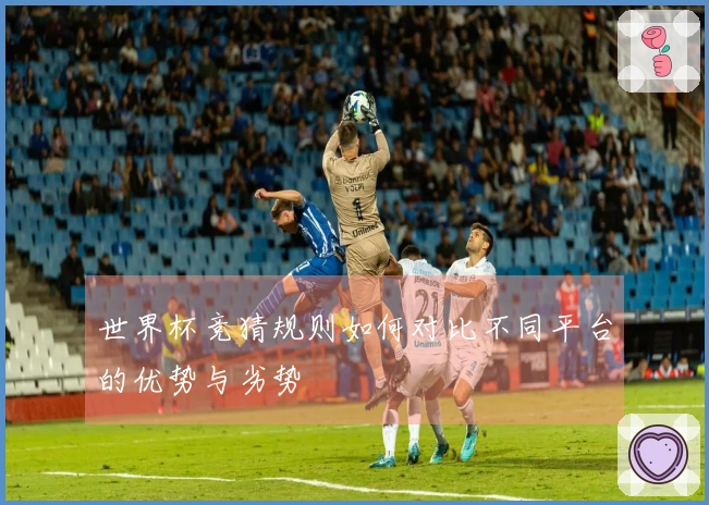 世界杯竞猜规则如何对比不同平台的优势与劣势