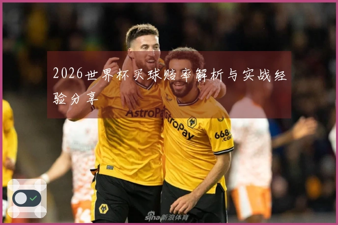 2026世界杯买球赔率解析与实战经验分享