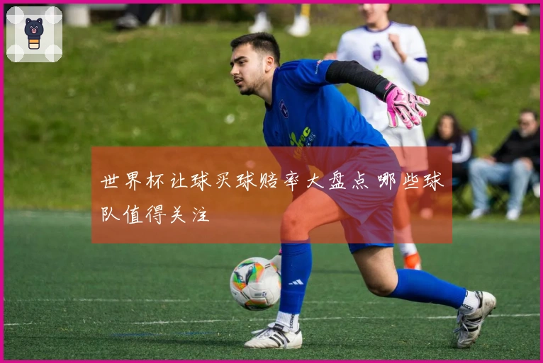 世界杯让球买球赔率大盘点 哪些球队值得关注