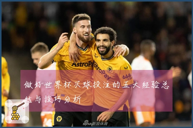 做好世界杯买球投注的五大经验总结与技巧分析