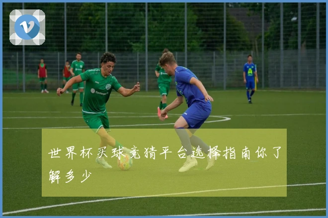 世界杯买球竞猜平台选择指南你了解多少