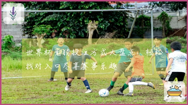 世界杯竞猜投注方式大盘点，轻松找对入口尽享赛事乐趣