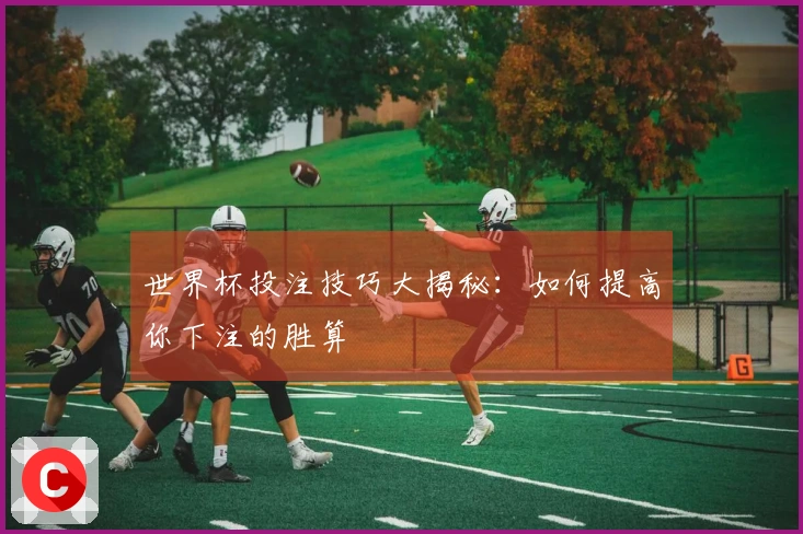 世界杯投注技巧大揭秘：如何提高你下注的胜算
